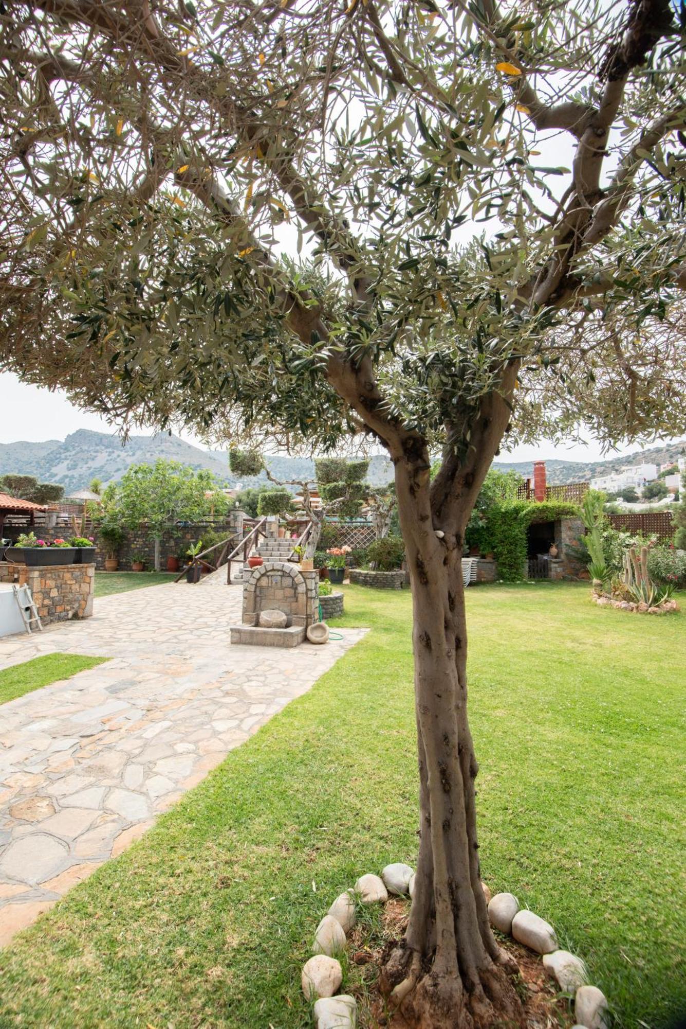 אלונדה Corali Studios & Portobello Apartments מראה חיצוני תמונה